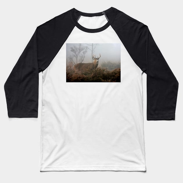 Buck in fog - White-tailed Deer Baseball T-Shirt by Jim Cumming